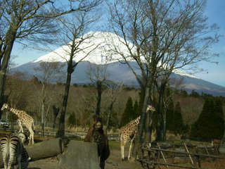 画像 095.jpg