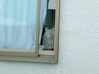 20170314-02.jpg