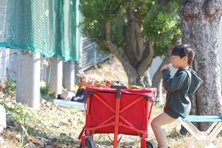 DSC_0234_Original.jpg