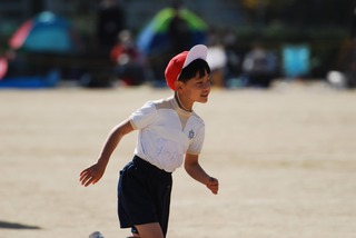 DSC_0395_Original.jpg