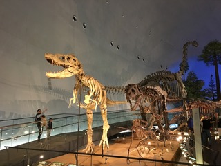 写真 2016-11-30 12 55 49.jpg