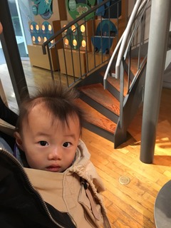 写真 2016-11-30 13 14 17.jpg