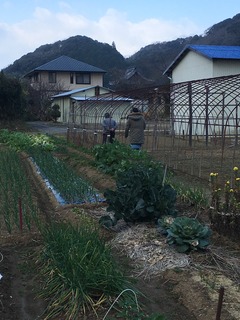写真 2017-01-03 10 24 37.jpg