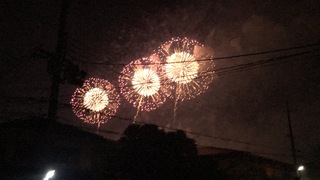 IMG_0554.jpg
