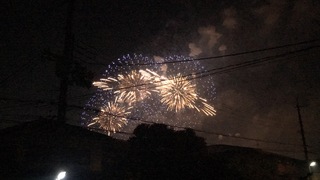 IMG_0561.jpg
