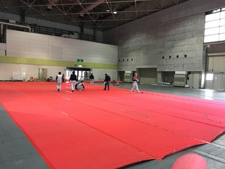 IMG_0650.jpg