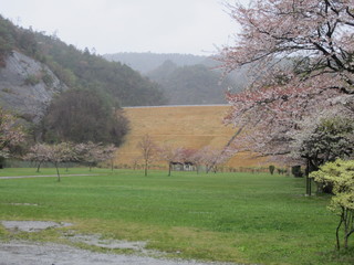 IMG_0744.jpg