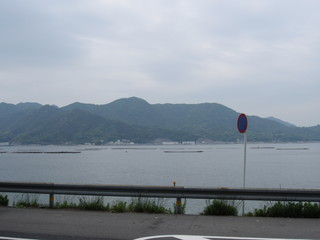 IMG_0846.jpg