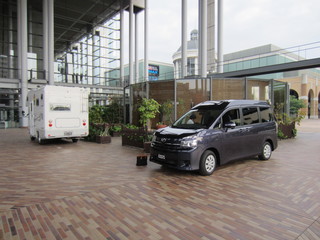 IMG_1156.jpg