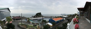IMG_1197.jpg