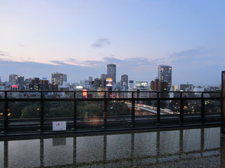 IMG_1555.jpg