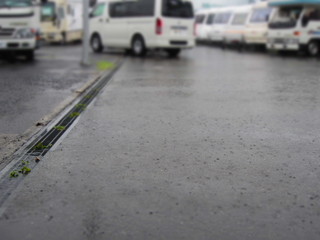 IMG_1685.jpg