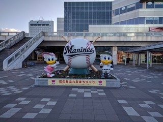 IMG_20170202_161226.jpg