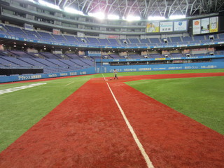 IMG_2447.jpg