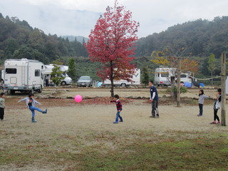 IMG_2593.jpg