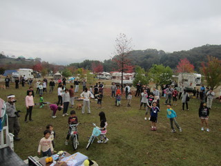 IMG_2595.jpg