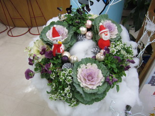 IMG_2732.jpg