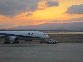 IMG_3137.jpg