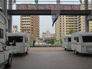 IMG_4251.jpg