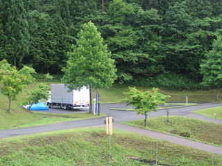 IMG_4441.jpg