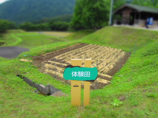 IMG_4598.jpg