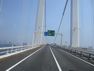 IMG_4798.jpg