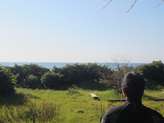 IMG_5205.jpg