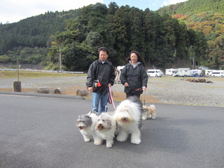 IMG_6017.jpg