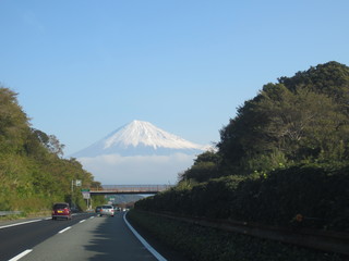 IMG_6223.jpg