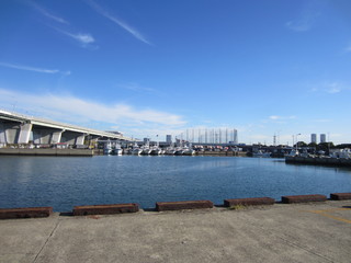 IMG_6338.jpg