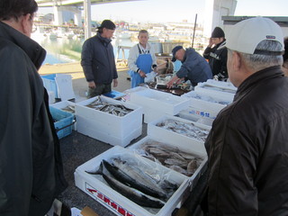 IMG_6342.jpg