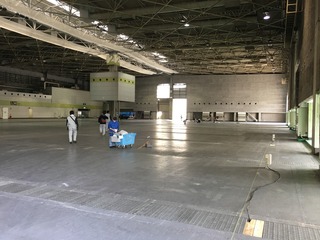 IMG_6662.jpg