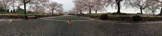 IMG_6993.jpg