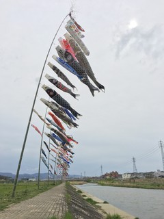 IMG_6994.jpg
