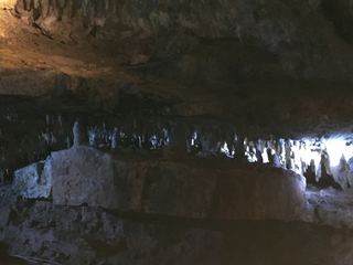 PIC_0114.jpg