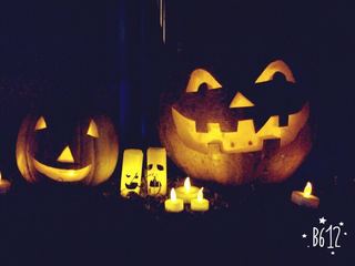 PIC_0343.jpg
