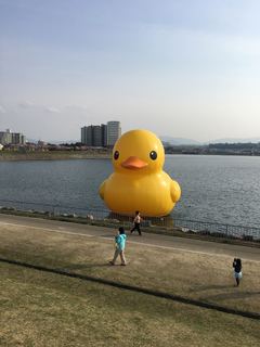 PIC_0391.jpg