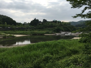 PIC_0935.jpg