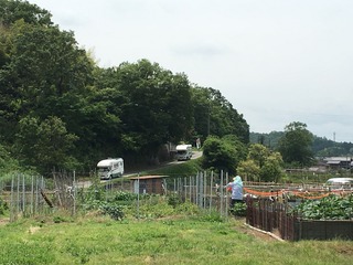 PIC_1205.jpg