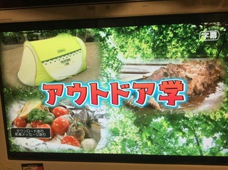 image-54b85.jpeg
