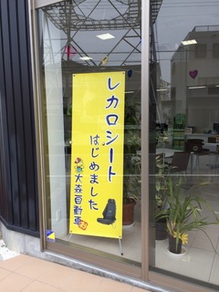 image-59a3d.jpg
