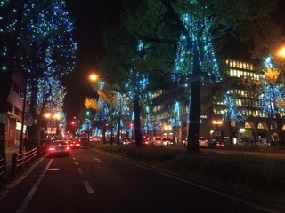 image-697fe.jpg