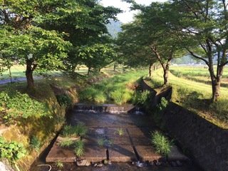 image-69f50.jpg