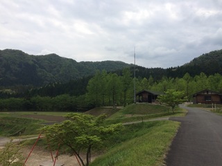 image-745fe.jpg
