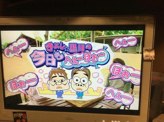 image-a8653.jpeg