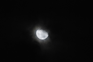 jpg000601.jpg
